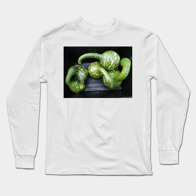 Speckled Swan Gourd Long Sleeve T-Shirt by Reilly's Fine Art and Designs